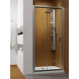 Radaway PREMIUM PLUS DWJ 33302-01-01N Drzwi prysznicowe 110x190